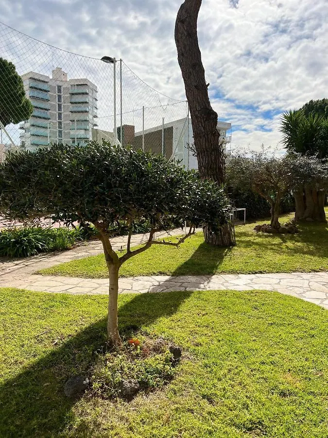 Oriol Center Apartments